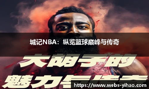 城记NBA：纵览篮球巅峰与传奇