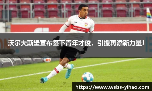 沃尔夫斯堡宣布签下青年才俊，引援再添新力量!