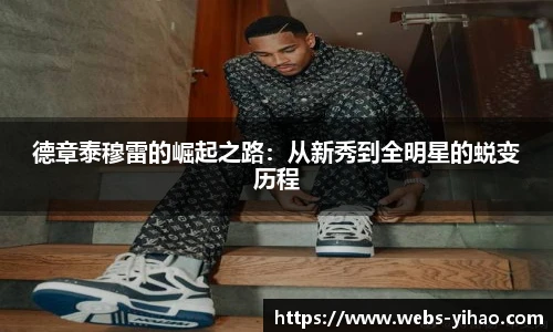德章泰穆雷的崛起之路：从新秀到全明星的蜕变历程